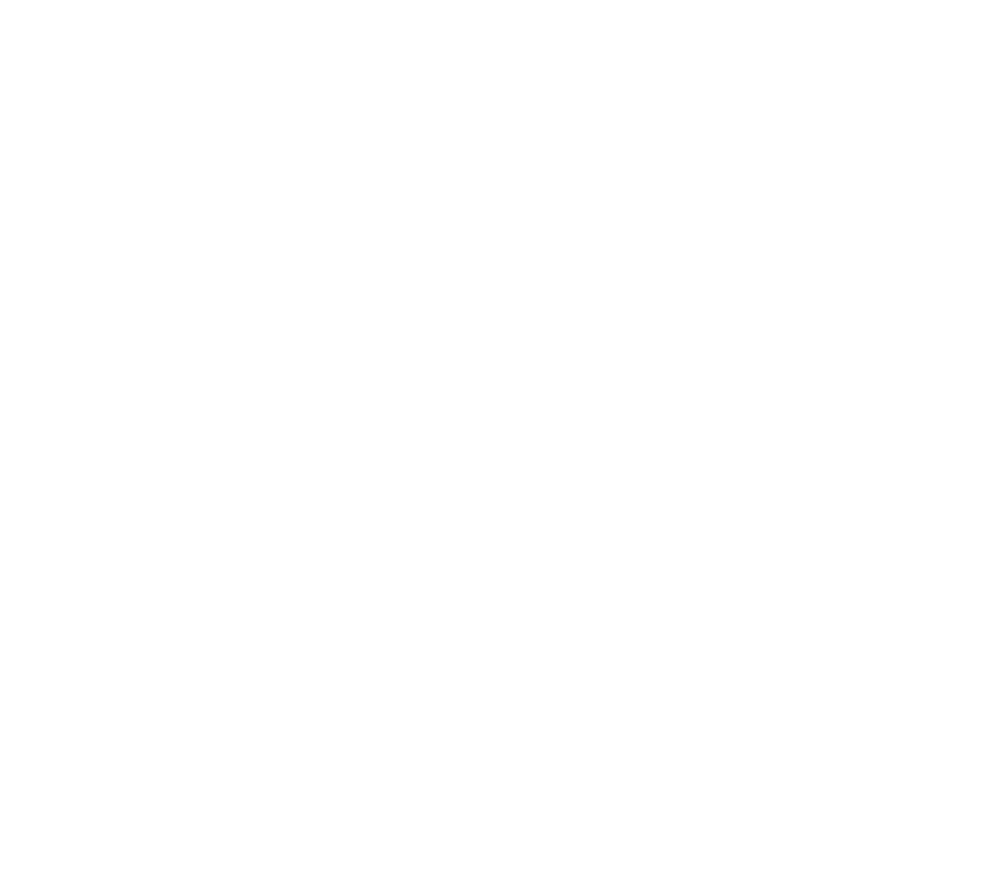 Bird Swatch Archive